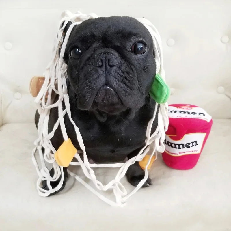 Ramen Snuffle & Nosework Toy