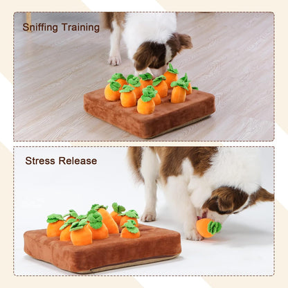Harvest Time: 3D Carrot Snuffle Farm