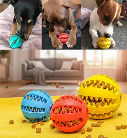 The IQ Treat-Release Ball: Dental & Mental Training