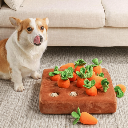 Harvest Time: 3D Carrot Snuffle Farm