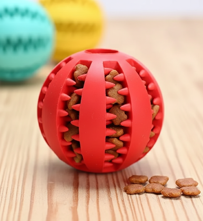The IQ Treat-Release Ball: Dental & Mental Training