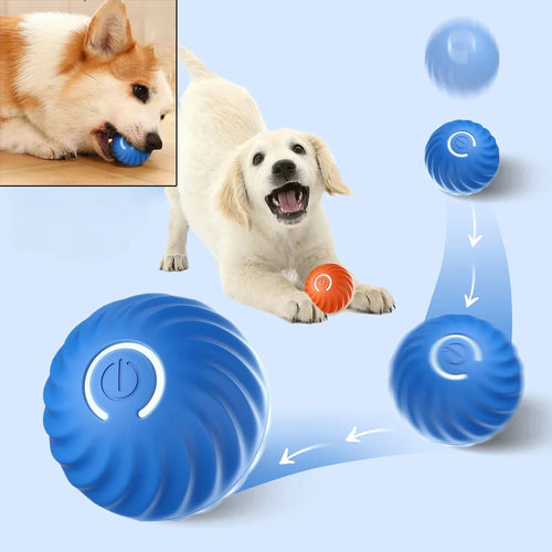 The SmartRoll: Automatic Self-Moving Dog Ball