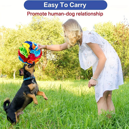 Boredom Buster: Stress-Relief Snuffle Ball