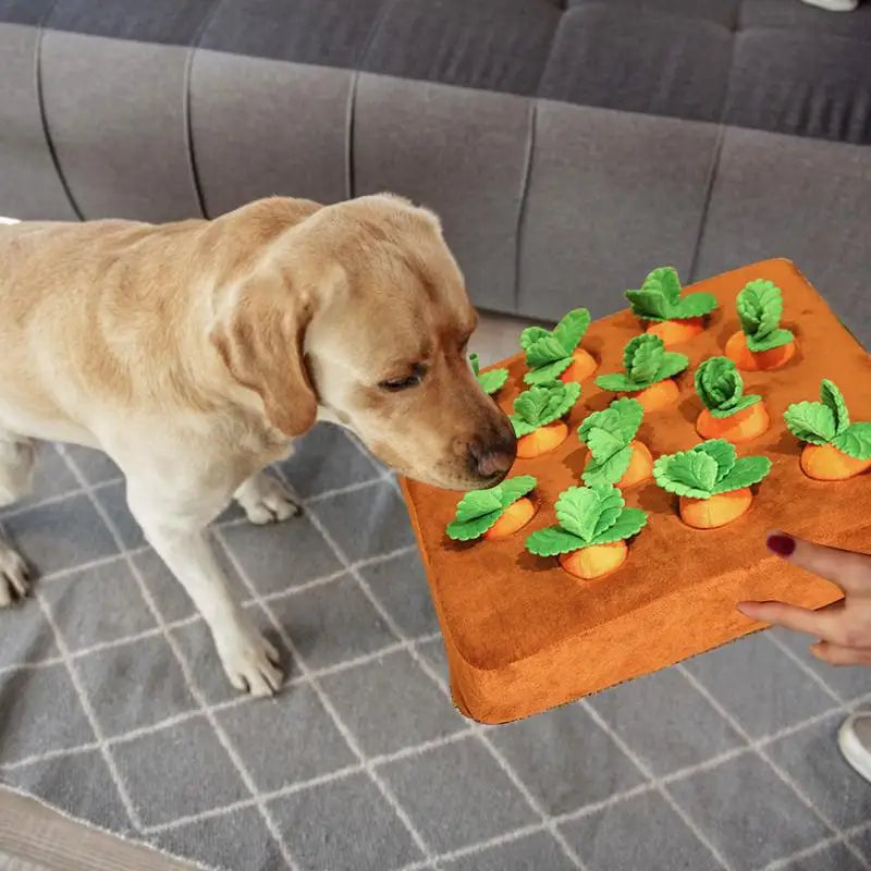 Harvest Time: 3D Carrot Snuffle Farm