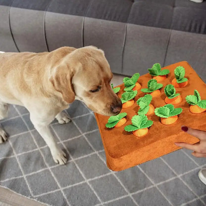 Harvest Time: 3D Carrot Snuffle Farm