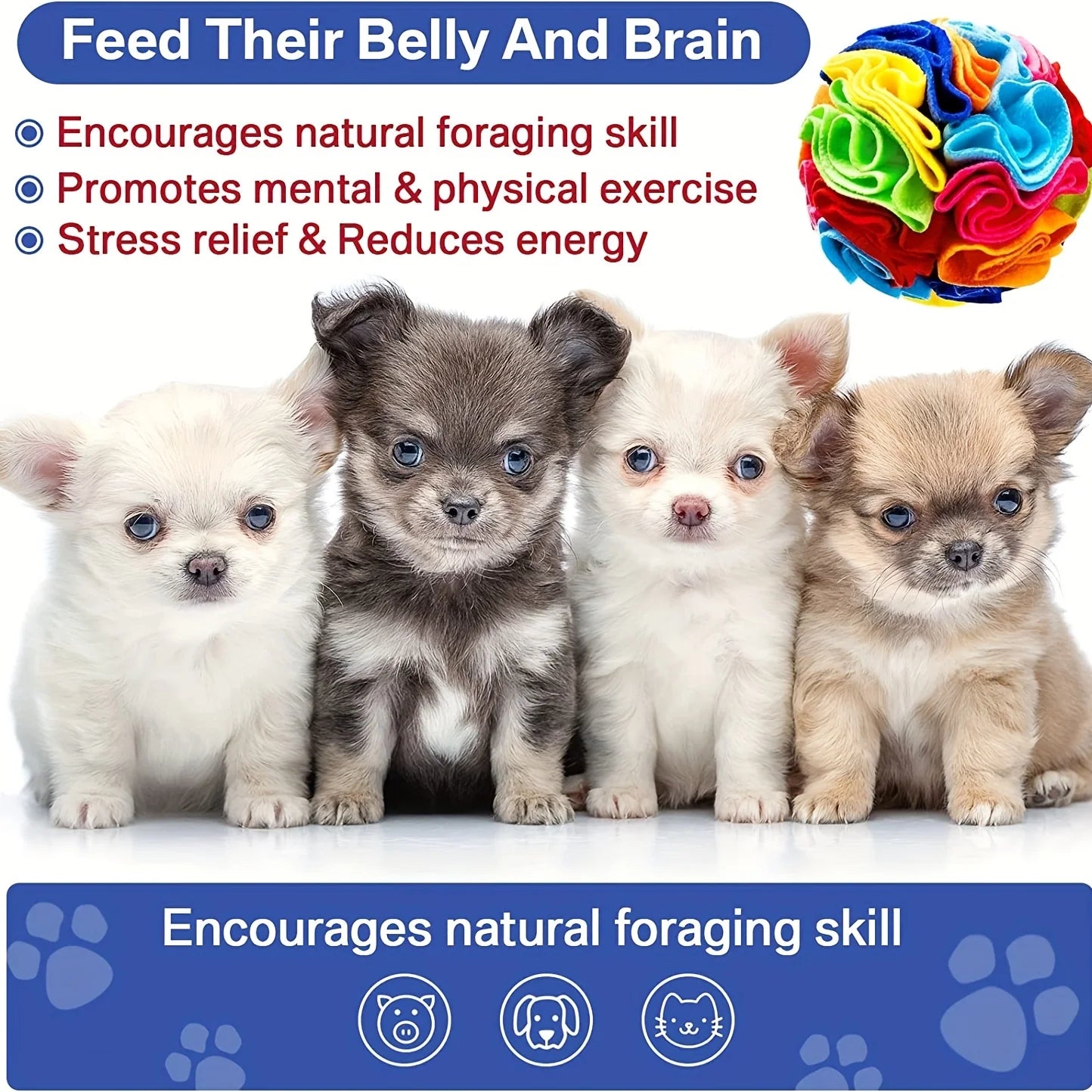 Boredom Buster: Stress-Relief Snuffle Ball