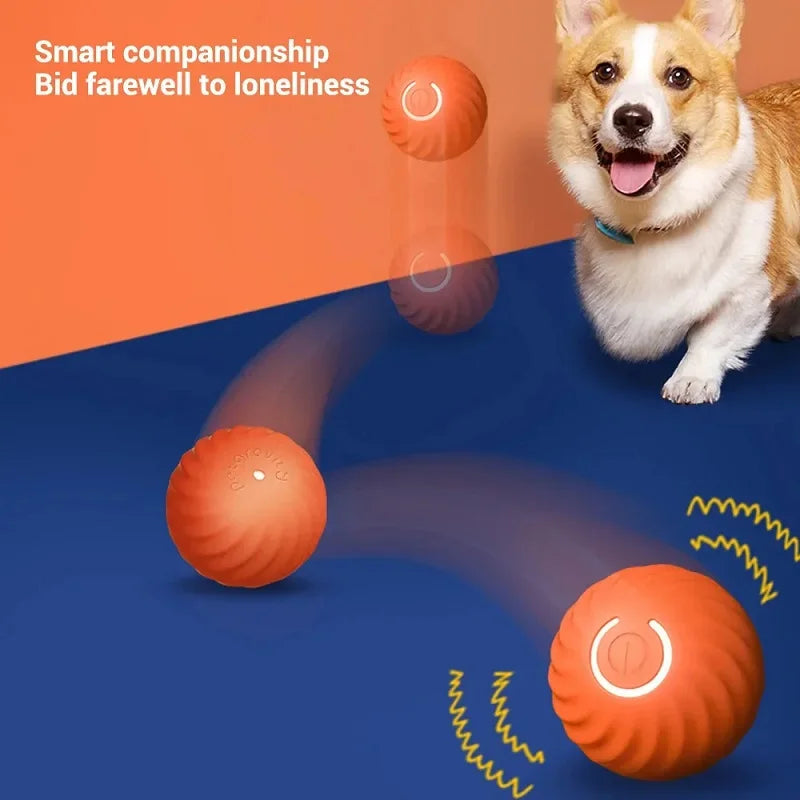 The SmartRoll: Automatic Self-Moving Dog Ball