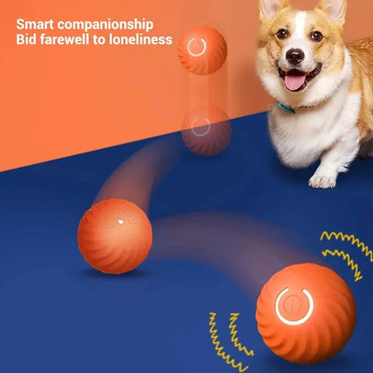 The SmartRoll: Automatic Self-Moving Dog Ball