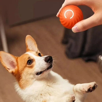 The SmartRoll: Automatic Self-Moving Dog Ball