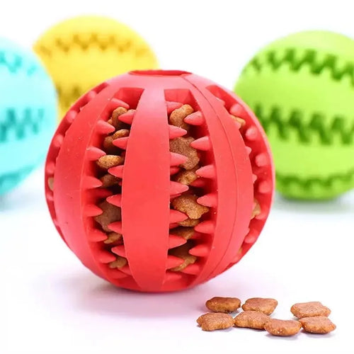 The IQ Treat-Release Ball: Dental & Mental Training
