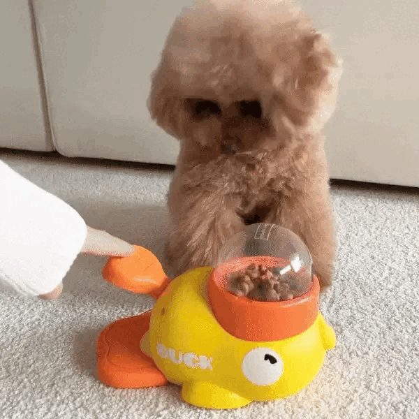 Duckie Zen-Feeder: Interactive Focus & Reward Puzzle